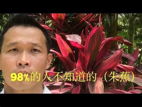 紅竹風水|紅竹風水秘訣：如何招財進寶？